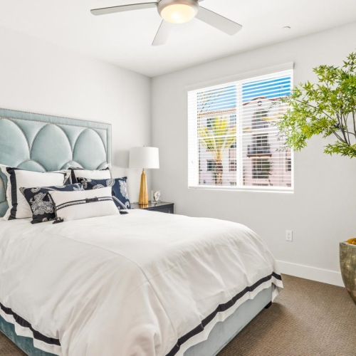 a bedroom with a bed fan and a large plant