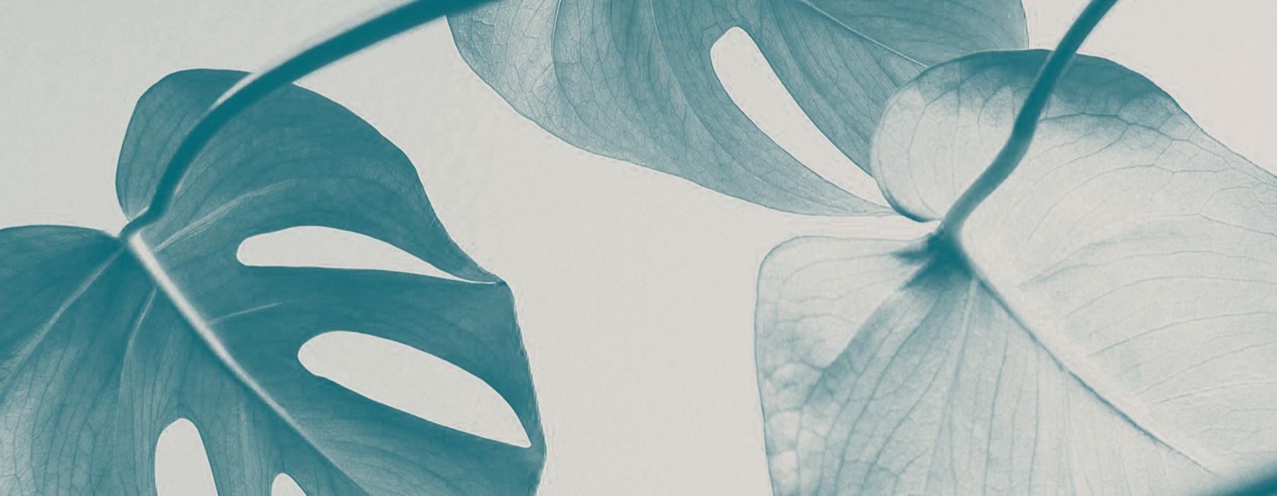 background pattern