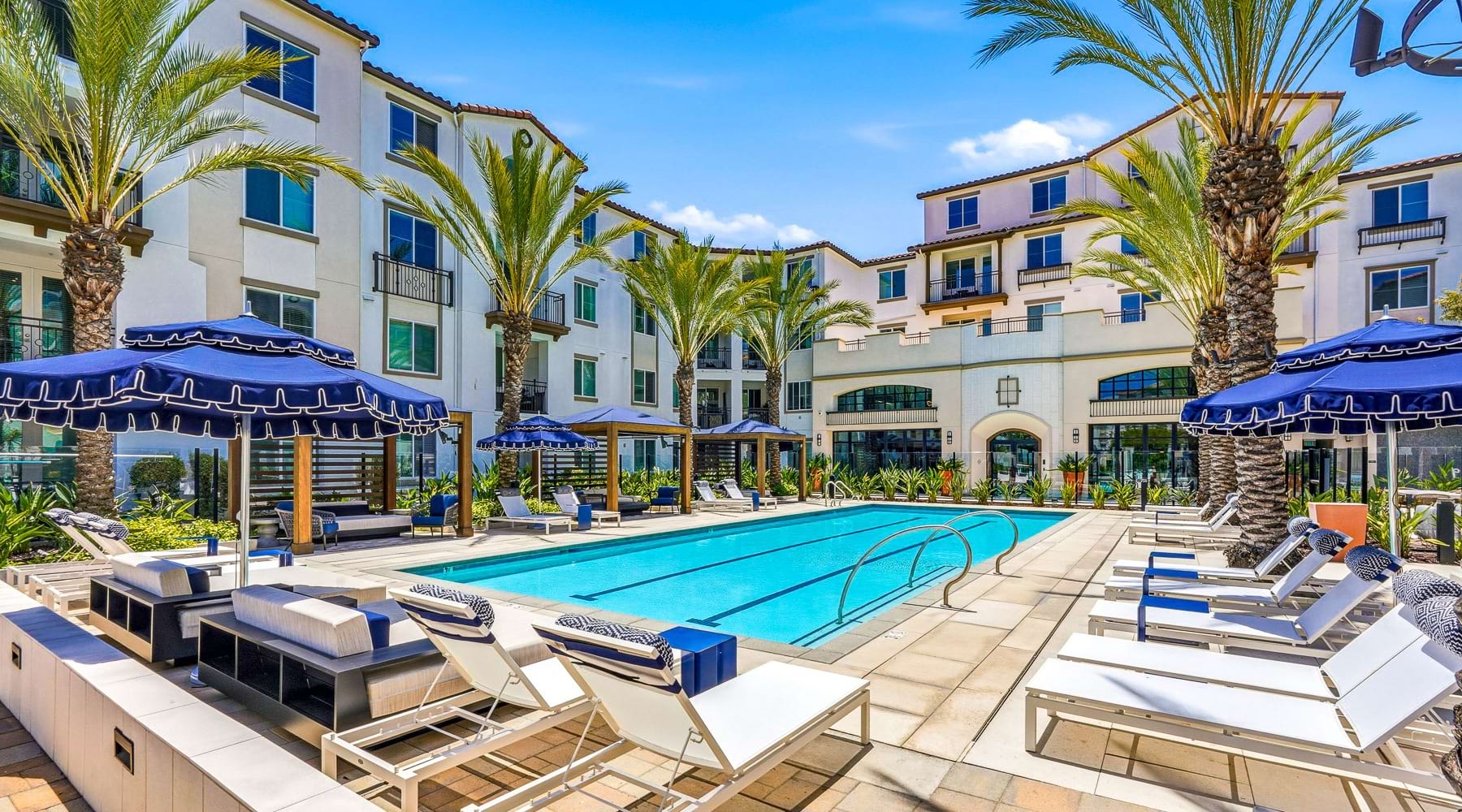 resort style pool with seating palm trees in a courtyard